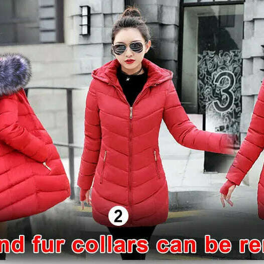 Fashion Slim Winter Jacket – Cotton Padded, Warm, Long Parka - D&M Boutique