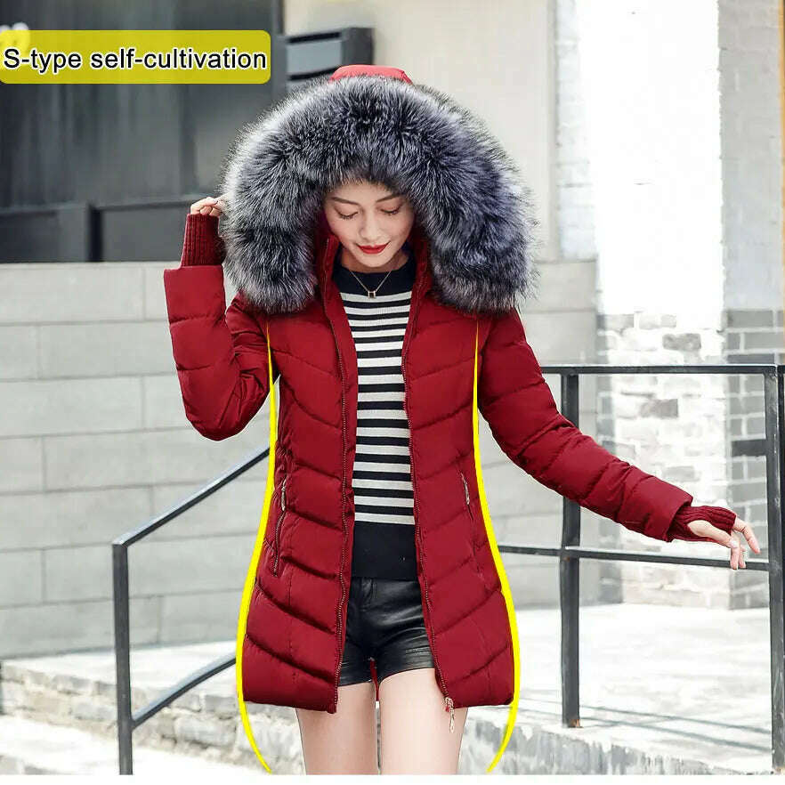 Fashion Slim Winter Jacket – Cotton Padded, Warm, Long Parka - D&M Boutique