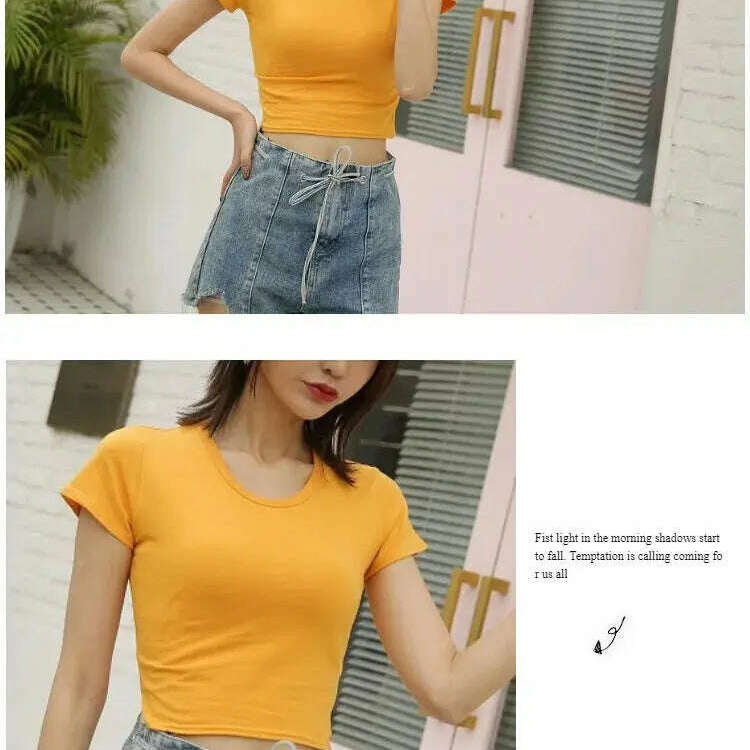 2023 Summer T-Shirt: Short Sleeve, O-Neck Crop Top - D&M Boutique
