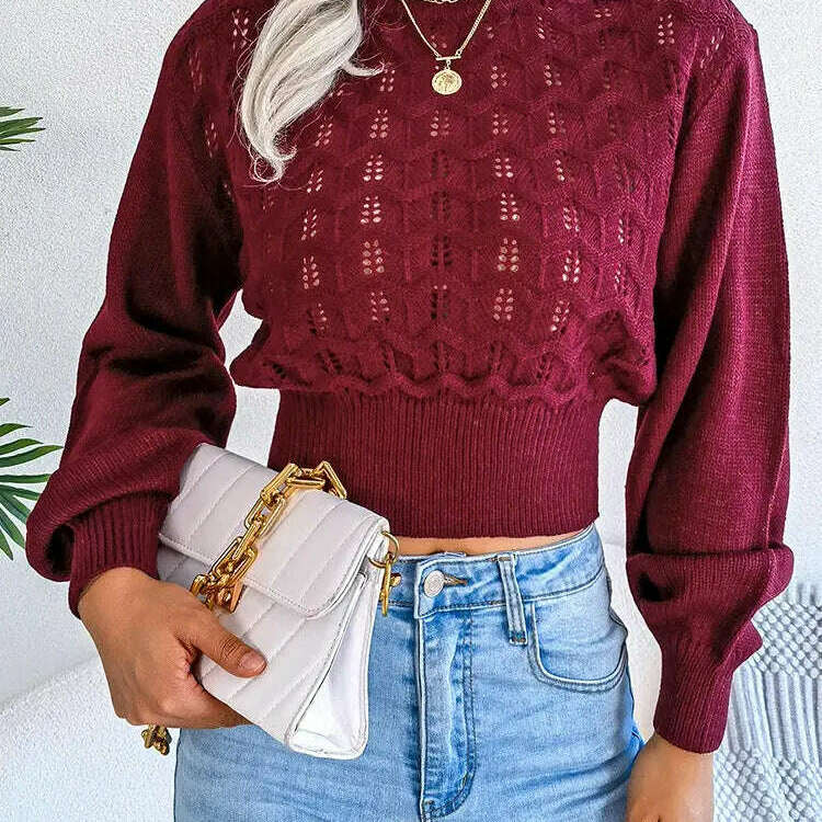 Autumn/Winter Sweater: Knitted, Hollow Crop Top - D&M Boutique