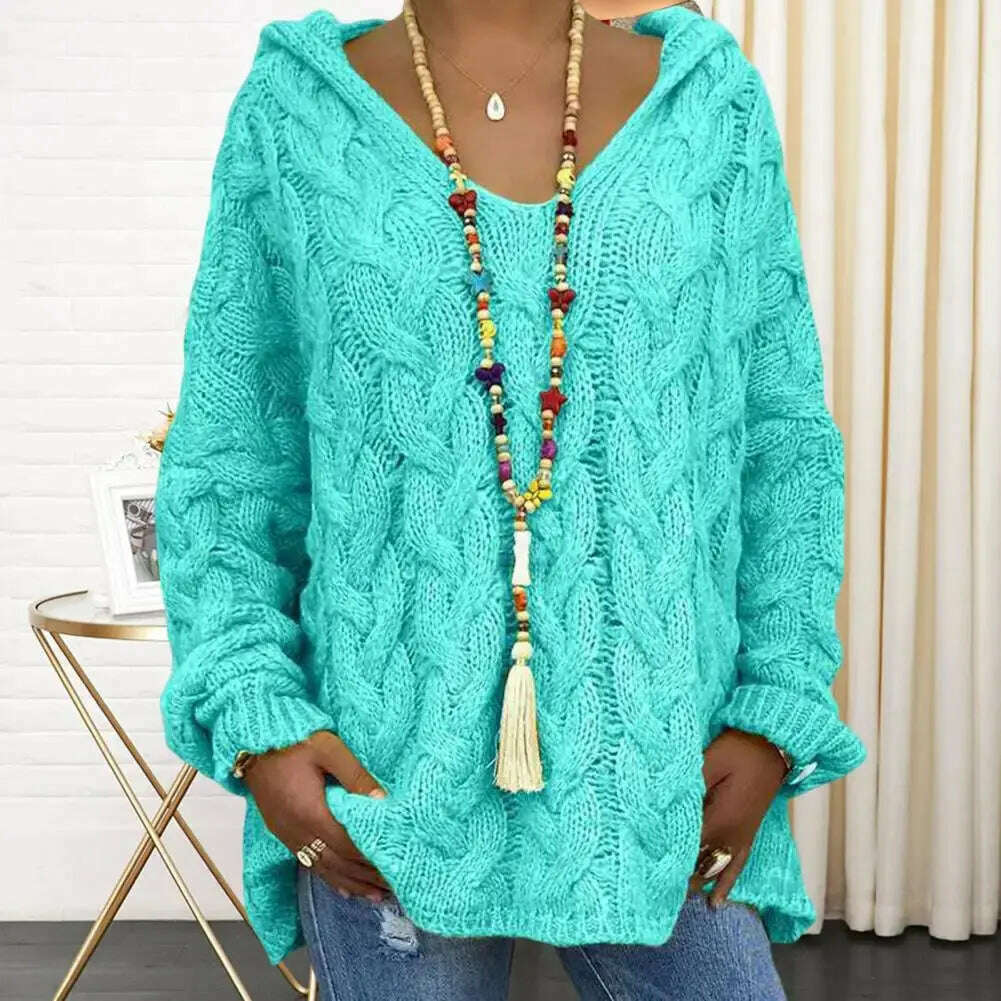Hooded V-Neck Twist Knitted Hoodie: Autumn/Winter Loose Sweater - D&M Boutique