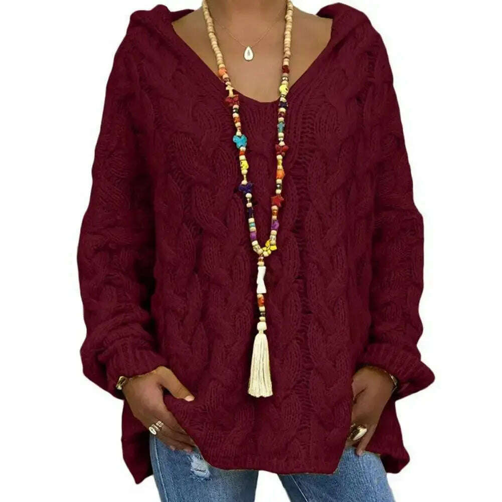 Hooded V-Neck Twist Knitted Hoodie: Autumn/Winter Loose Sweater - D&M Boutique