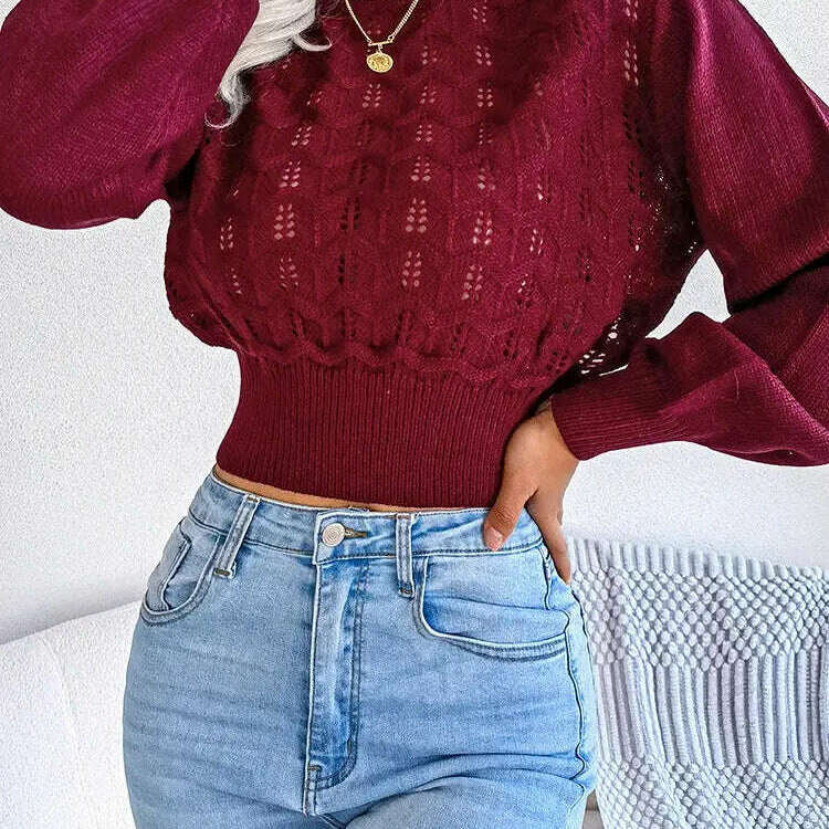 Autumn/Winter Sweater: Knitted, Hollow Crop Top - D&M Boutique