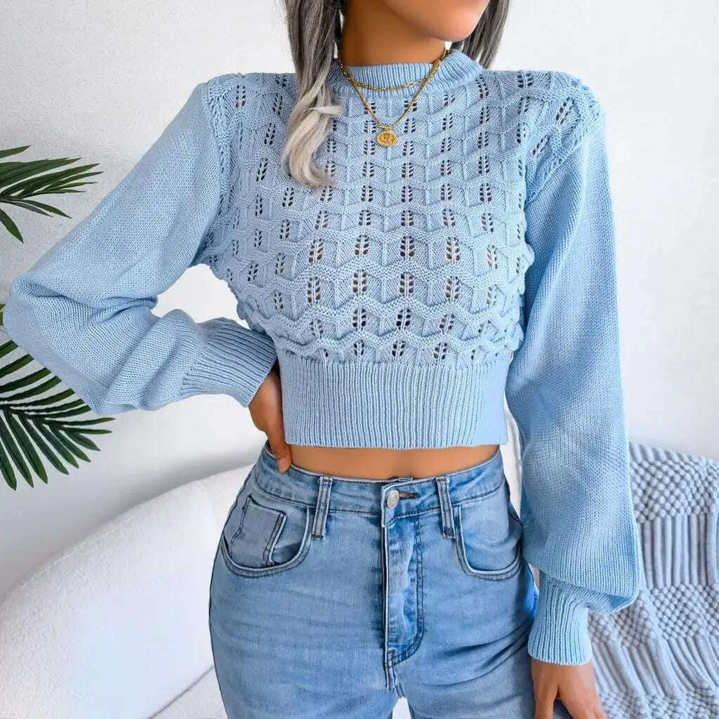 Autumn/Winter Sweater: Knitted, Hollow Crop Top - D&M Boutique