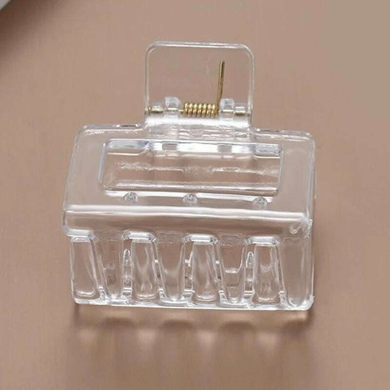 Korean Large Plastic Hair Claw
