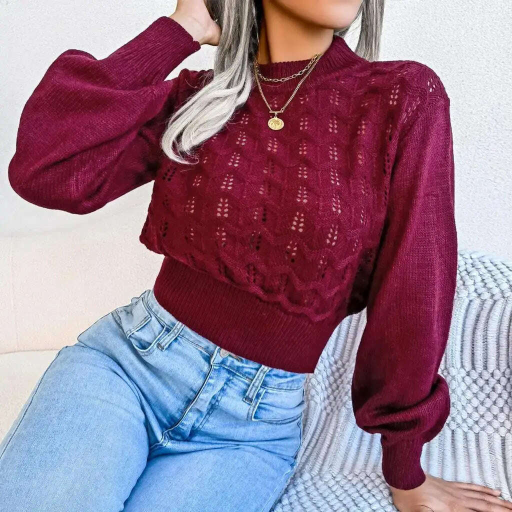 Autumn/Winter Sweater: Knitted, Hollow Crop Top - D&M Boutique