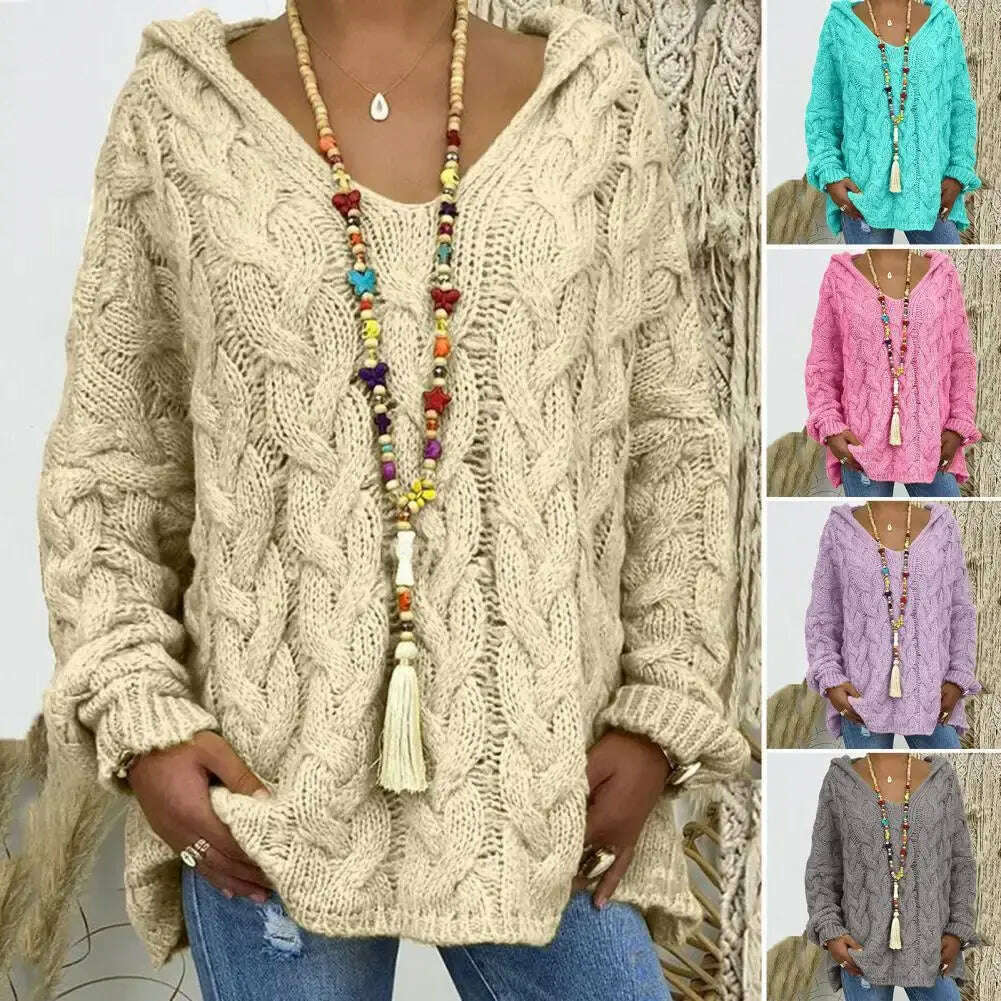 Hooded V-Neck Twist Knitted Hoodie: Autumn/Winter Loose Sweater - D&M Boutique