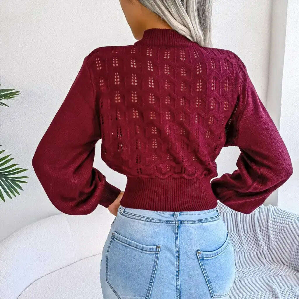 Autumn/Winter Sweater: Knitted, Hollow Crop Top - D&M Boutique