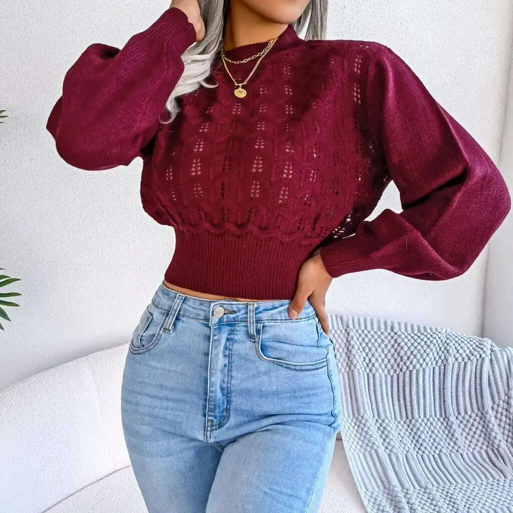 Autumn/Winter Sweater: Knitted, Hollow Crop Top - D&M Boutique