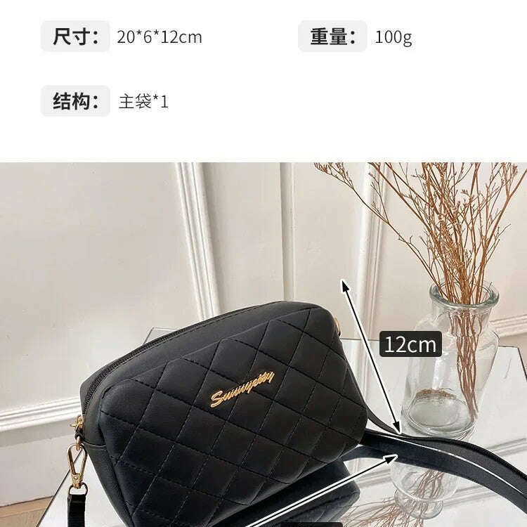 Tassel Messenger Bag for Women 2024 Embroidery Crossbody
