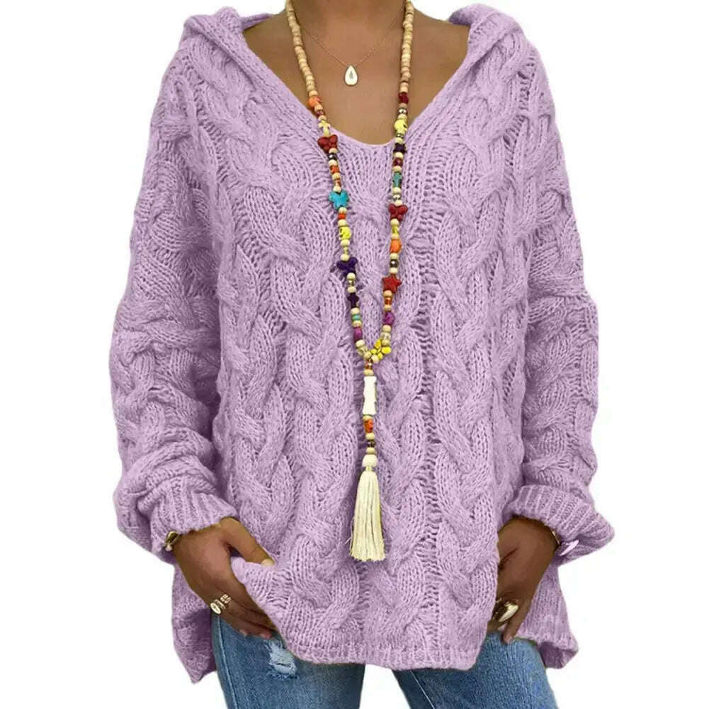 Hooded V-Neck Twist Knitted Hoodie: Autumn/Winter Loose Sweater - D&M Boutique