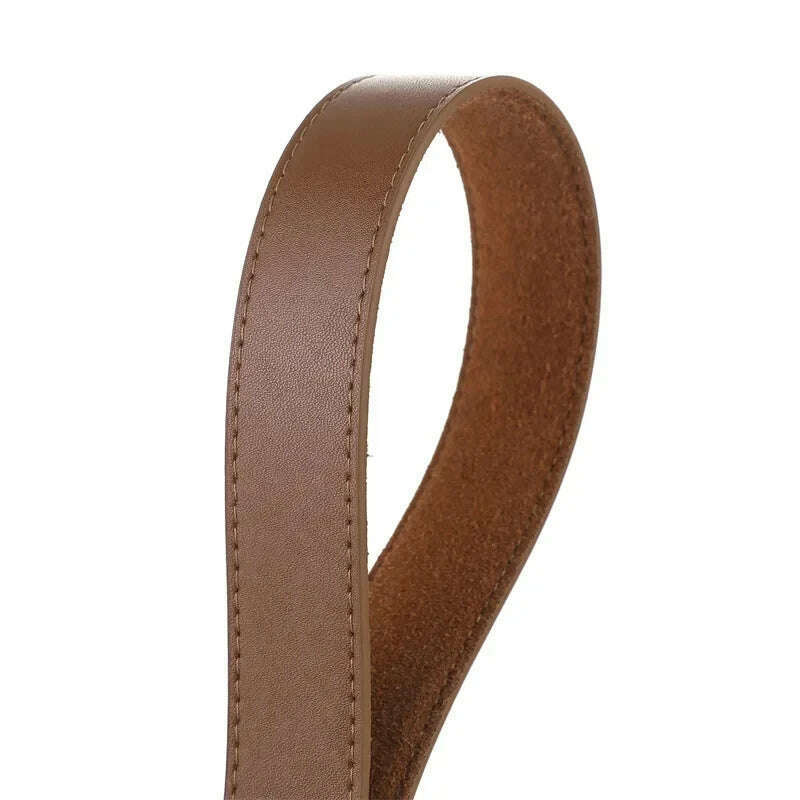 Casual Genuine Leather Belt with Gold Buckle