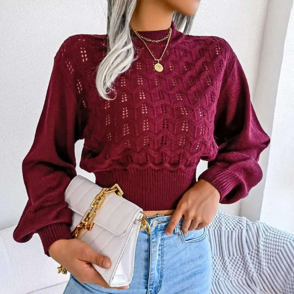 Autumn/Winter Sweater: Knitted, Hollow Crop Top - D&M Boutique