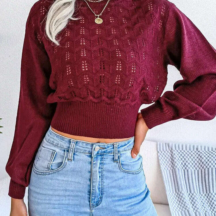 Autumn/Winter Sweater: Knitted, Hollow Crop Top - D&M Boutique