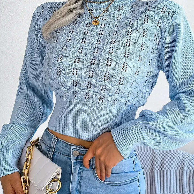 Autumn/Winter Sweater: Knitted, Hollow Crop Top - D&M Boutique