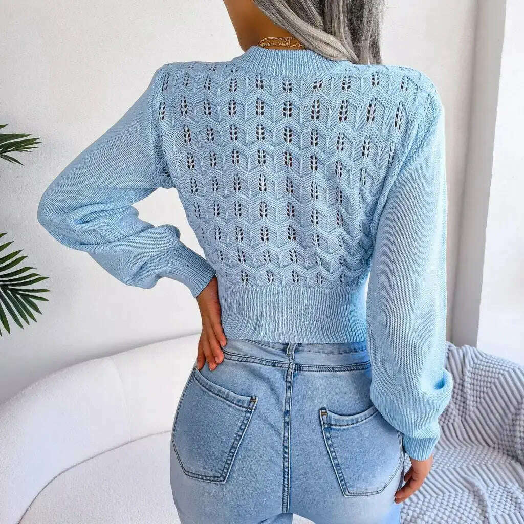 Autumn/Winter Sweater: Knitted, Hollow Crop Top - D&M Boutique