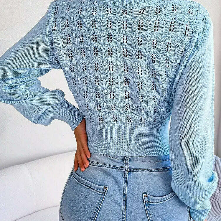 Autumn/Winter Sweater: Knitted, Hollow Crop Top - D&M Boutique