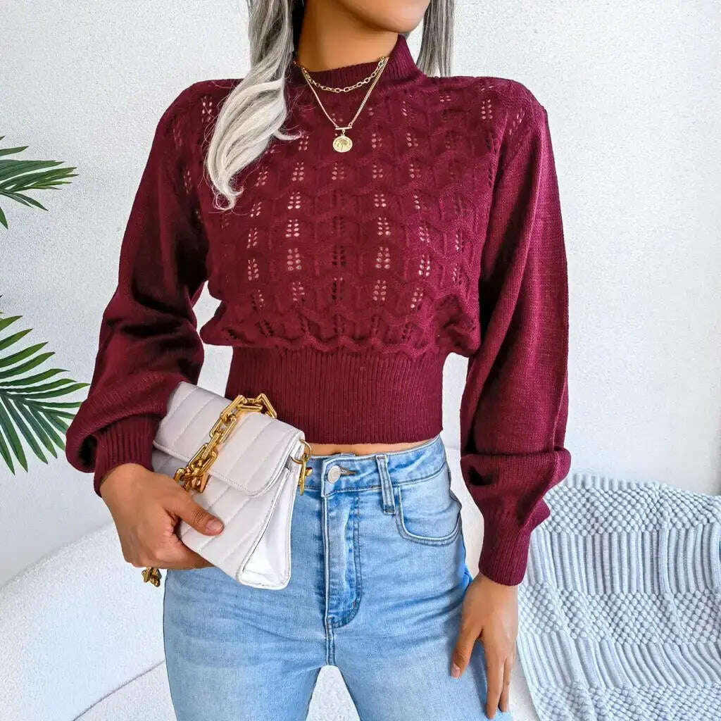 Autumn/Winter Sweater: Knitted, Hollow Crop Top