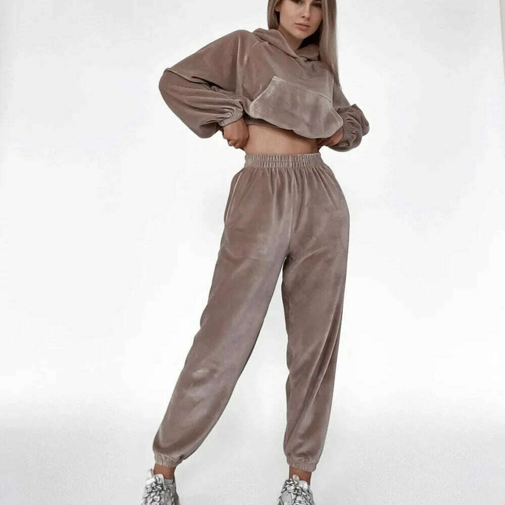 2025 Autumn Winter Women's Velvet Hoodie & Elastic Pants Set