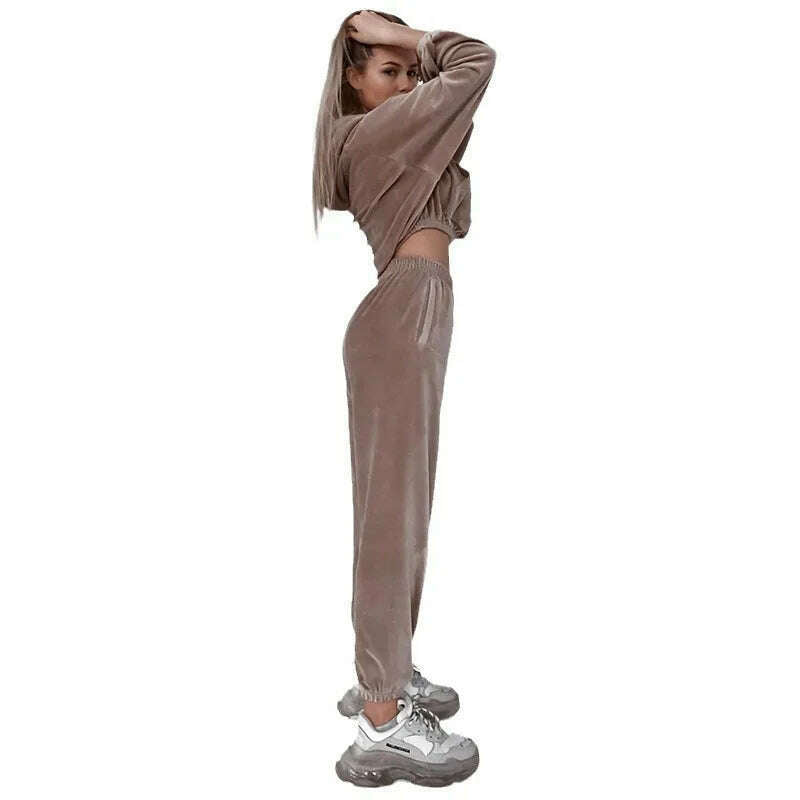 2025 Autumn Winter Women's Velvet Hoodie & Elastic Pants Set
