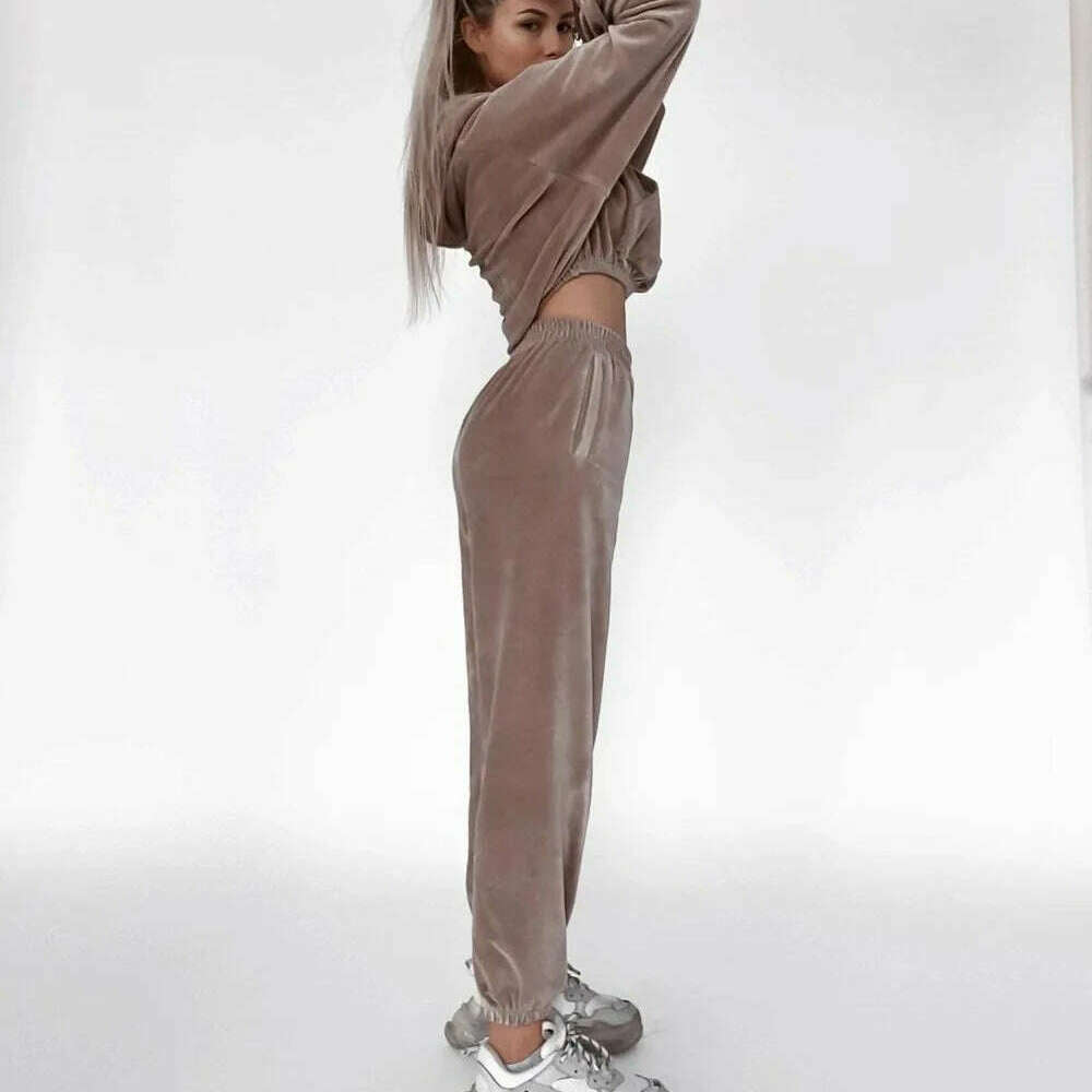 2025 Autumn Winter Women's Velvet Hoodie & Elastic Pants Set