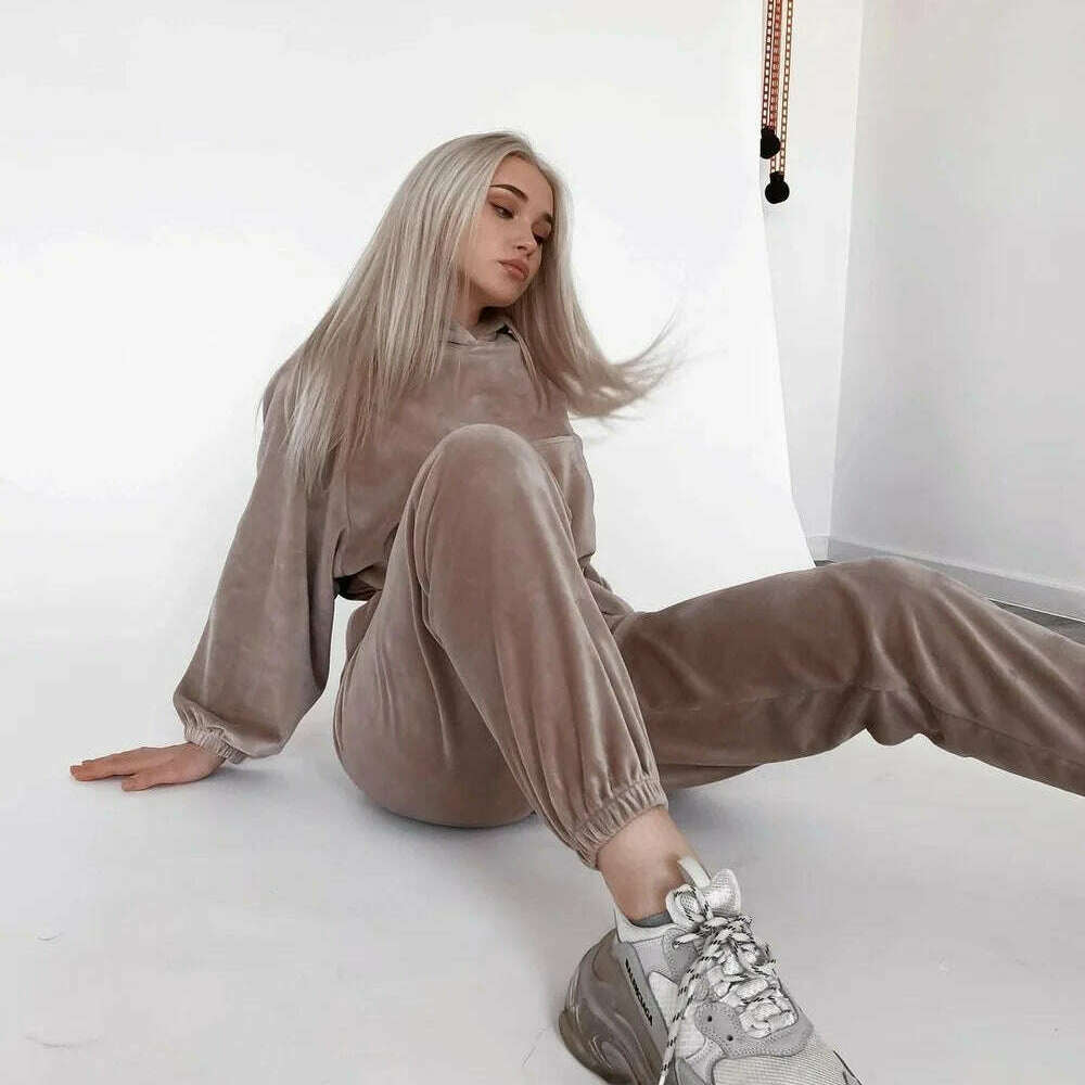 2025 Autumn Winter Women's Velvet Hoodie & Elastic Pants Set